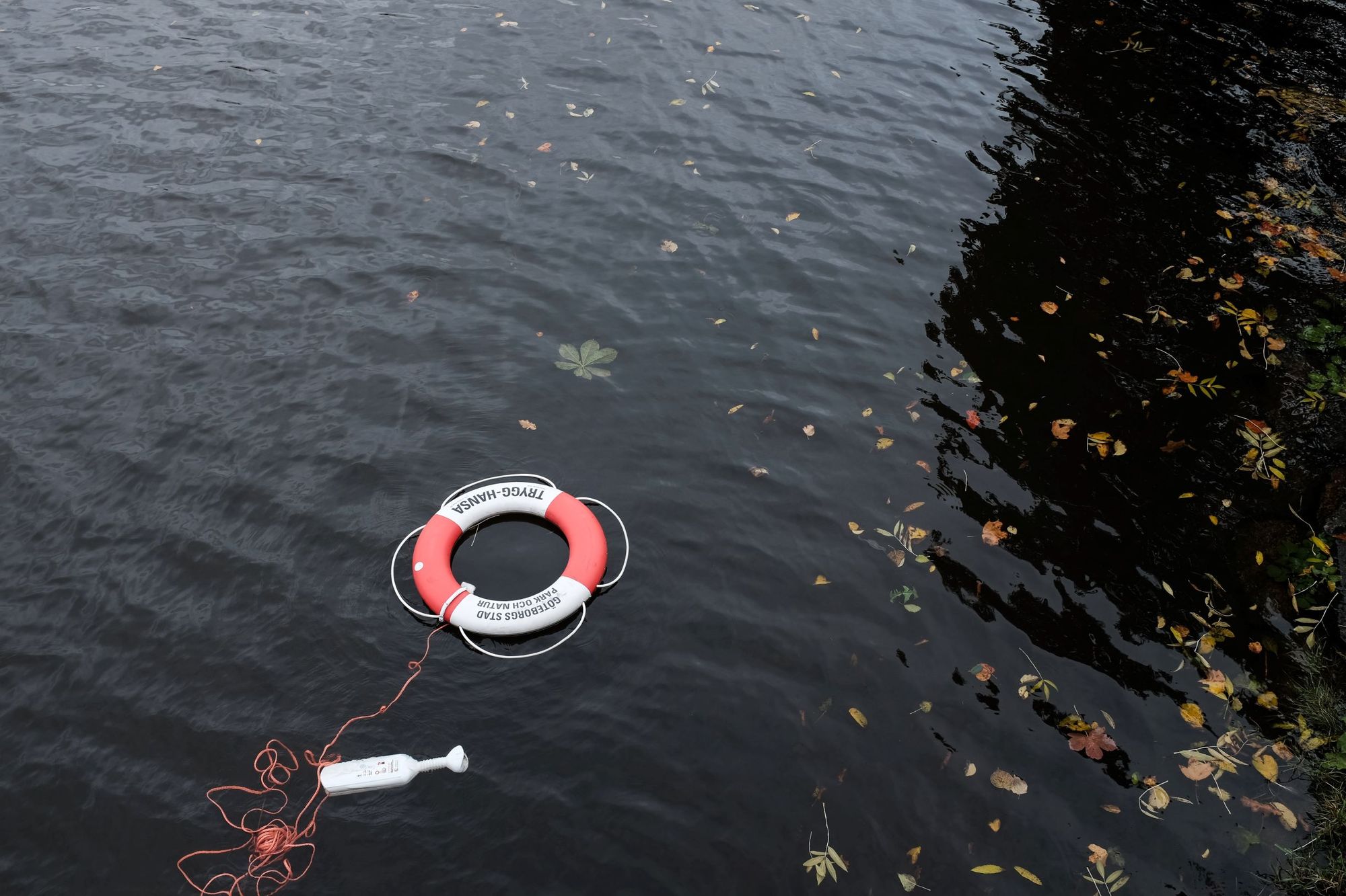 Photo of a life preserver in water